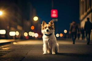 ein Hund Sitzung auf das Straße beim Nacht. KI-generiert foto