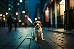 ein Hund Sitzung auf das Straße beim Nacht. KI-generiert foto