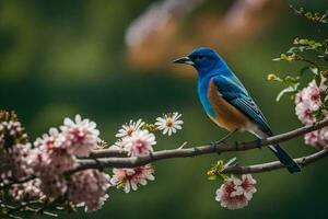 ein Blau Vogel ist thront auf ein Ast mit Rosa Blumen. KI-generiert foto