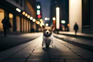 ein Hund Stehen auf ein Straße beim Nacht. KI-generiert foto