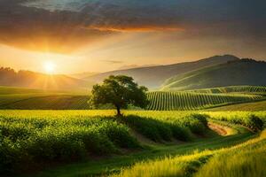 das Sonne steigt an Über ein Feld von Grün Gras. KI-generiert foto