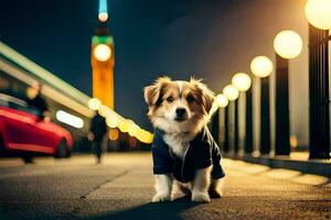 ein Hund im ein Jacke Stehen auf das Straße beim Nacht. KI-generiert foto