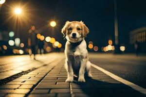 ein Hund Sitzung auf das Straße beim Nacht. KI-generiert foto