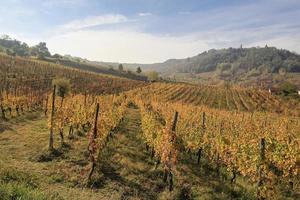 Weinberge und Landschaft des piemontesischen Hinterlandes, Italien foto