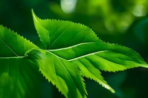 ein schließen oben von ein Grün Blatt. KI-generiert foto