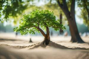 ein klein Baum wachsend aus von das Sand. KI-generiert foto
