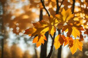 Herbst Blätter im das Sonnenlicht. KI-generiert foto