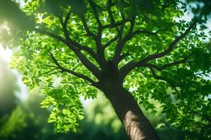 ein Baum mit Grün Blätter im das Sonne. KI-generiert foto