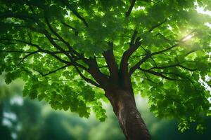 ein Baum mit Grün Blätter im das Sonnenlicht. KI-generiert foto