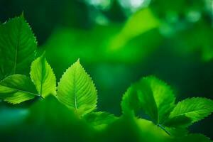 Grün Blätter auf ein Baum. KI-generiert foto