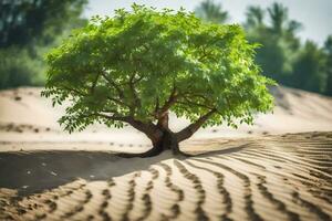 ein Baum im das Wüste. KI-generiert foto