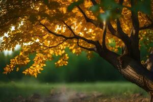 ein Baum mit Gelb Blätter im das Sonne. KI-generiert foto