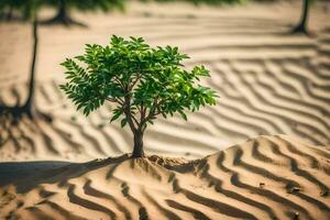 ein klein Baum wachsend im das Sand. KI-generiert foto