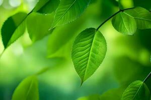 Grün Blätter auf ein Baum. KI-generiert foto