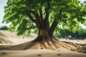 ein Baum im das Wüste mit Sand und Personen. KI-generiert foto