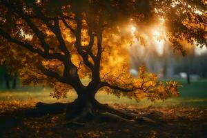 ein Baum mit das Sonne leuchtenden durch Es. KI-generiert foto