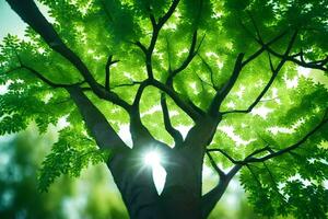 ein Baum mit Sonnenlicht leuchtenden durch Es. KI-generiert foto