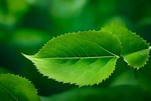 ein schließen oben von ein Grün Blatt. KI-generiert foto