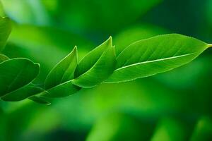 ein schließen oben von ein Blatt auf ein Baum. KI-generiert foto