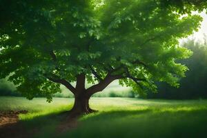 ein Baum ist Stehen im das Mitte von ein Feld. KI-generiert foto