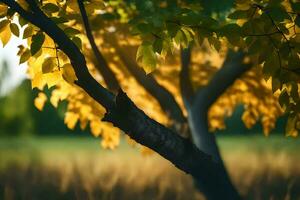 ein Baum mit Gelb Blätter im das Hintergrund. KI-generiert foto