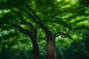 zwei Bäume im das Wald mit Grün Blätter. KI-generiert foto