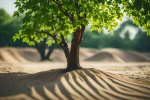 ein Baum im das Wüste mit Sand Dünen. KI-generiert foto