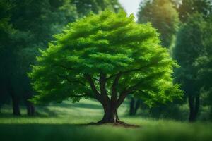 ein Baum im das Mitte von ein Grün Feld. KI-generiert foto