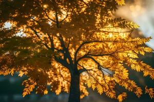 ein Baum mit Gelb Blätter im das Sonne. KI-generiert foto