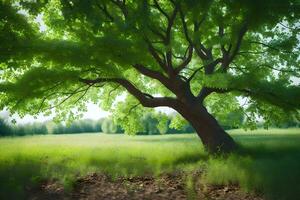 ein Baum im ein Feld mit Gras und Bäume. KI-generiert foto