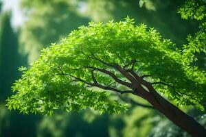 ein Baum mit Grün Blätter im das Mitte von ein Wald. KI-generiert foto