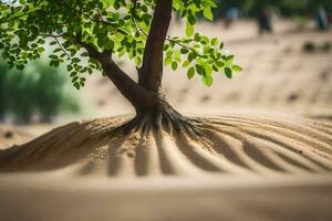 ein Baum wachsend aus von das Sand im das Wüste. KI-generiert foto