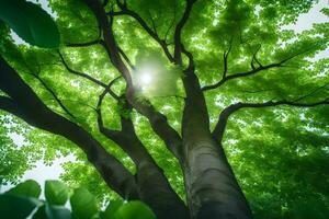 das Sonne scheint durch das Blätter von ein Baum. KI-generiert foto