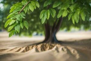 ein Baum mit Blätter wachsend aus von das Sand. KI-generiert foto
