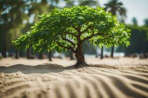 ein Baum wachsend im das Sand. KI-generiert foto