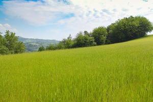 Naturlandschaft mit schönen grünen Hügeln foto