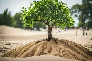 ein Baum wachsend auf oben von ein Sand Düne. KI-generiert foto