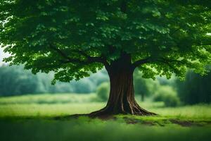 ein Baum im ein Feld mit Gras und Bäume. KI-generiert foto