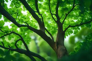 ein Baum mit Grün Blätter im das Hintergrund. KI-generiert foto