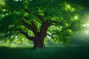 ein Baum ist gezeigt im das Sonnenlicht mit das Sonne leuchtenden durch. KI-generiert foto