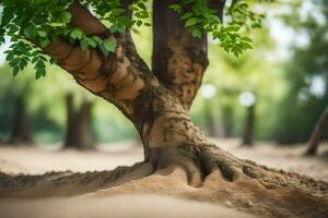 ein Baum mit es ist Wurzeln im das Sand. KI-generiert foto