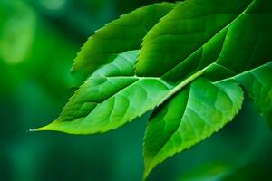 ein schließen oben von ein Grün Blatt. KI-generiert foto