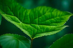 ein schließen oben von ein Grün Blatt. KI-generiert foto