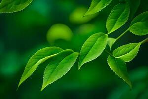 Grün Blätter auf ein Baum. KI-generiert foto