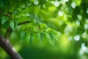 Grün Blätter auf ein Baum Ast. KI-generiert foto