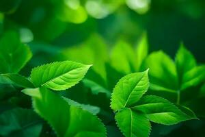 Grün Blätter auf ein Baum. KI-generiert foto