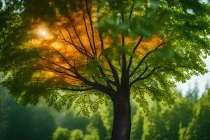 ein Baum mit ein hell Orange Sonne leuchtenden durch Es. KI-generiert foto