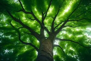 ein Baum im das Wald. KI-generiert foto