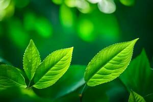 Grün Blätter auf ein Baum. KI-generiert foto