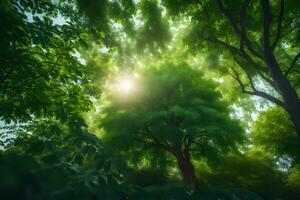 das Sonne scheint durch das Bäume im ein Wald. KI-generiert foto